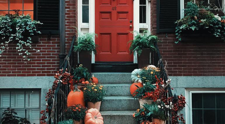 How to Make a Succulent-Topped Pumpkin