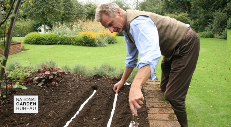 Steps for Starting a Home Vegetable Garden